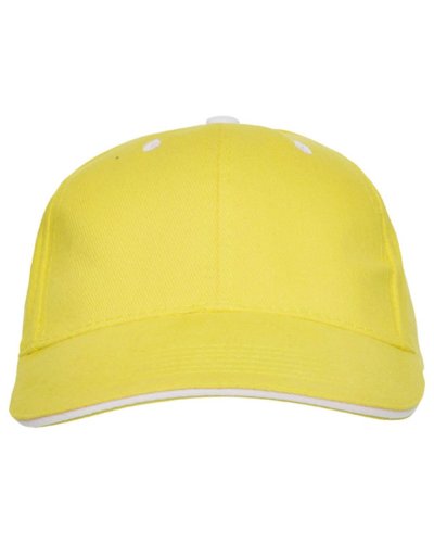 Cappellino Panel