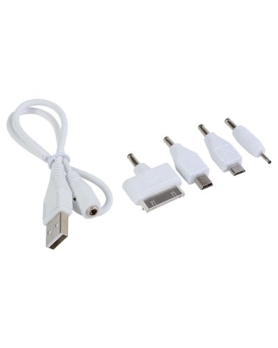 Set cavo con 4 adattatori