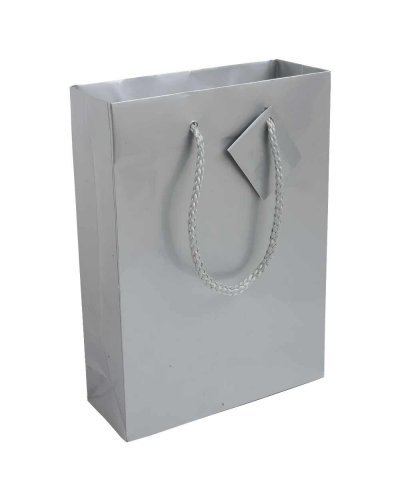 Sacchetto in carta laminata Argento
