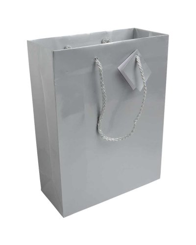 SACCHETTO IN CARTA LAMINATA CON MANICI IN CORDA Argento