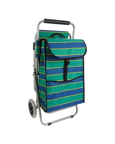 CARRELLO PER LA SPESA CON SEGGIOLINO Verde