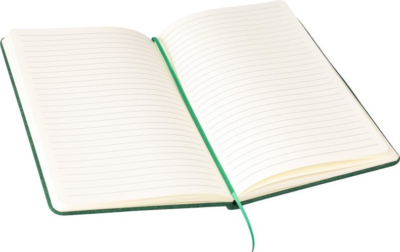 Taccuino danio | feltro riciclato | a5 | pagine a righe