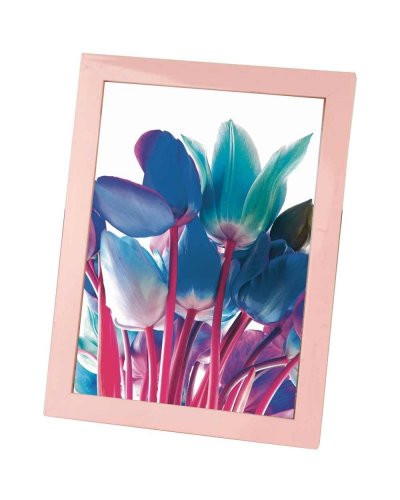 Cornice Portafoto in Plastica Rosa