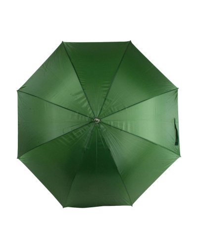 Ombrello automatico con fusto in acciaio e manico curvo in legno Verde