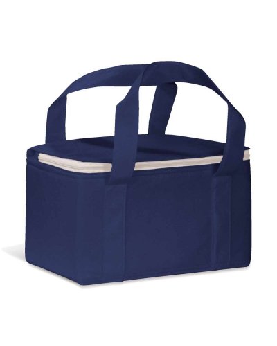 Borsa termica in TNT ad uno scomparto