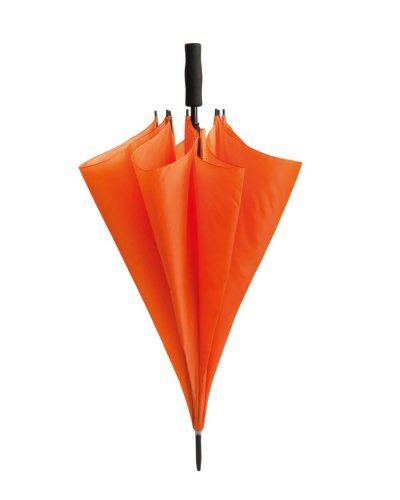 Zeus Arancio