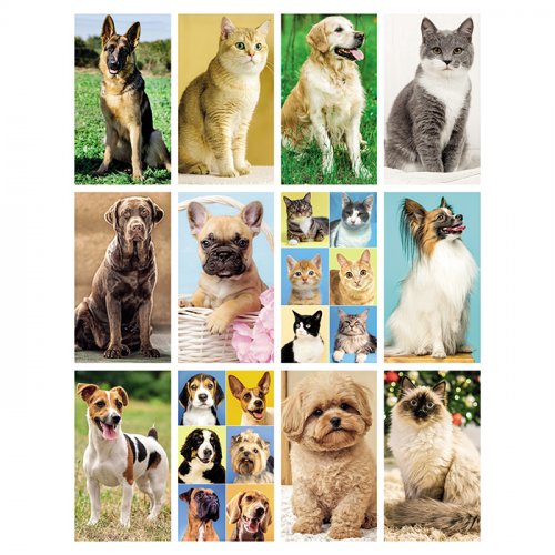 Calendario mensile Cani e Gatti
