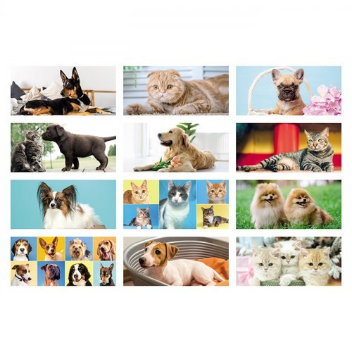 Calendario spiralato da tavolo Cani e Gatti