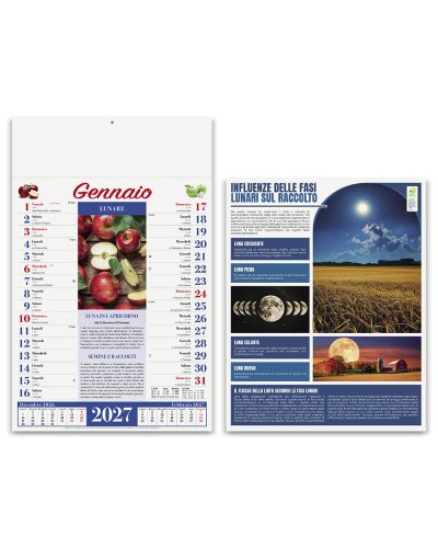 Calendario Orto&Giardino 12 mesi illustrato 29x47cm Cartone