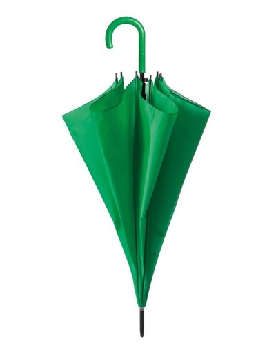 Rainbow Verde
