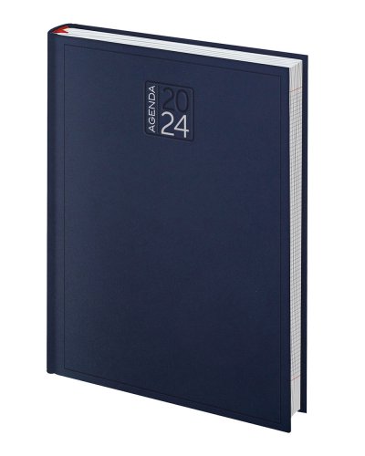 Agenda Giornaliera 324 Pagine Blu