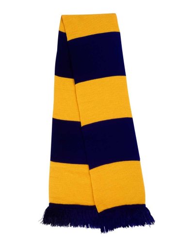 Sciarpa Team Navy/Gold