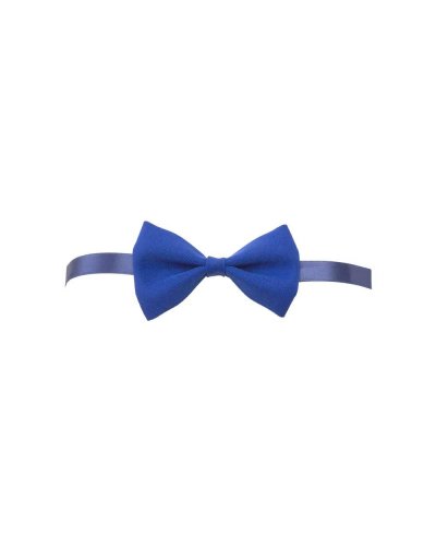 PAPILLON Azzurro