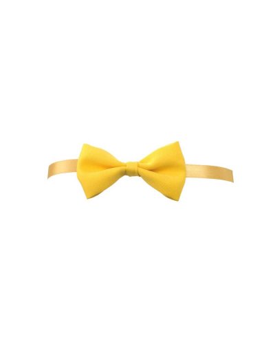 PAPILLON Giallo