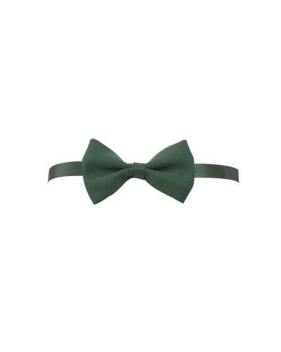 PAPILLON Verde
