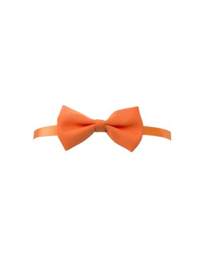 PAPILLON Arancio