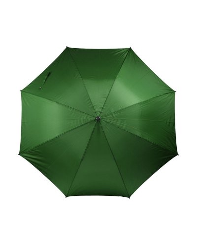 Ombrello automatico con manico in legno Verde