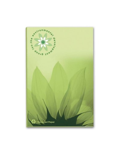 BIC 50 mm x 75 mm 25 Fogli Adhesive Notepads Ecolutions