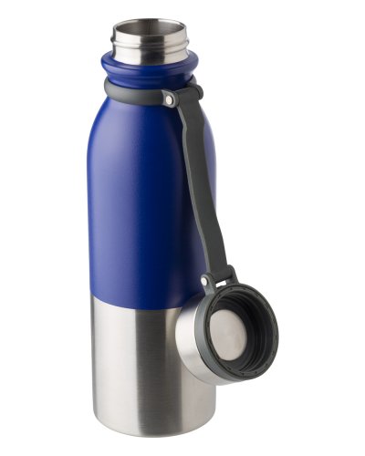 Botella de acero inoxidable Will de 600 ml