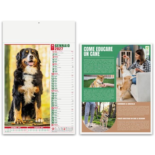 Calendario Cani e Gatti 12 mesi, 29x47 cm, carta patinata 70gr