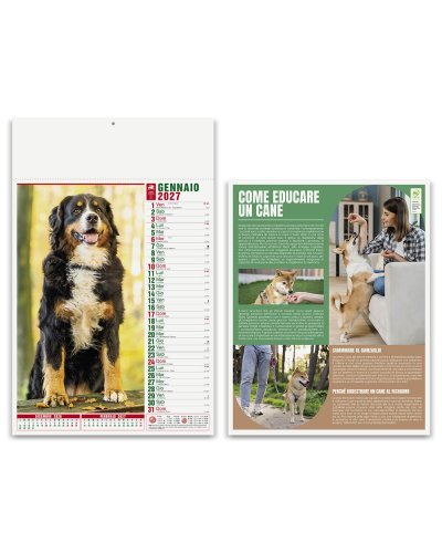 Calendario Cani e Gatti 12 mesi, 29x47 cm, carta patinata 70gr