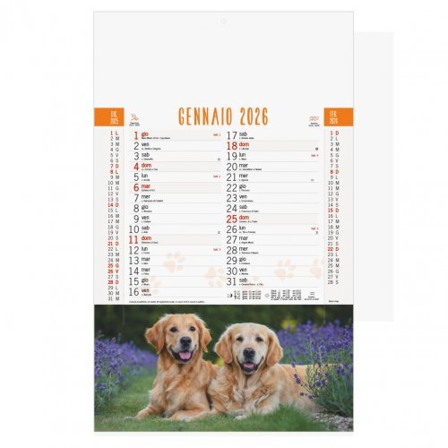 Calendario Cani e Gatti Trimestrale 12 fogli