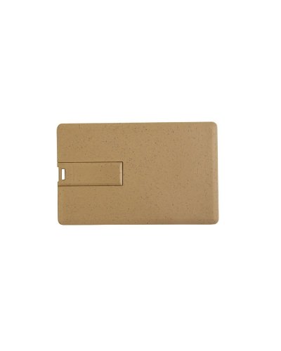Chiavetta USB 4Gb a forma di tessera