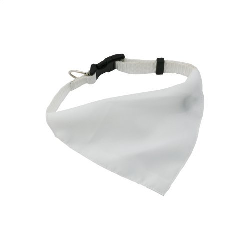 Collier pour chien rex
