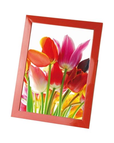 Cornice Portafoto in Plastica