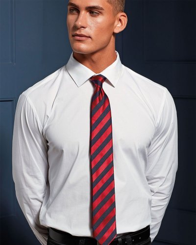Club Stripe Tie