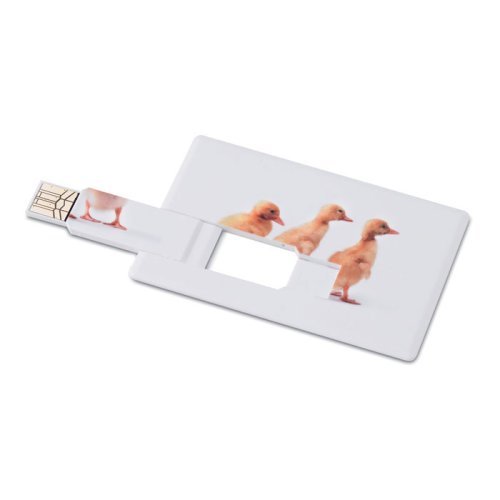 Creditcard. usb flash 16gb