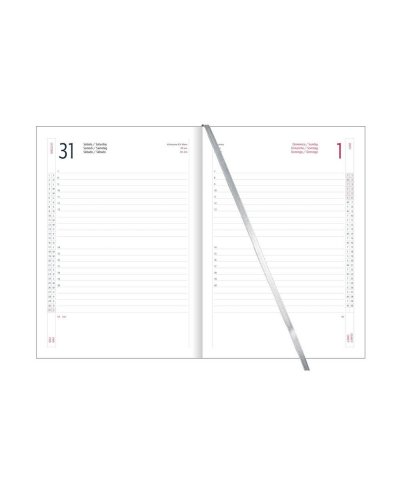 Interno agenda giornaliera 17x24