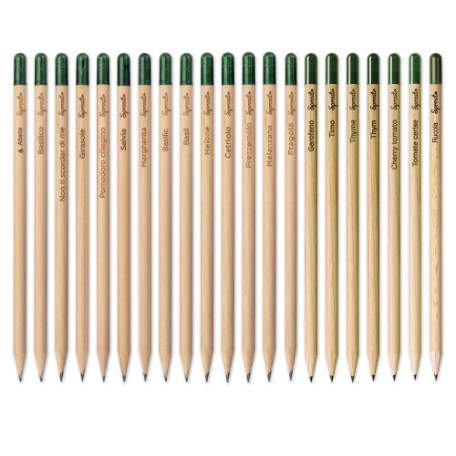 Lápiz sprout de madera sostenible con mina de grafito