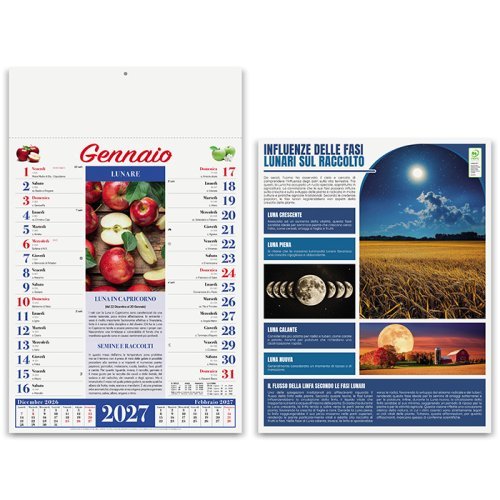 Calendario Orto&Giardino 12 mesi illustrato 29x47cm Cartone