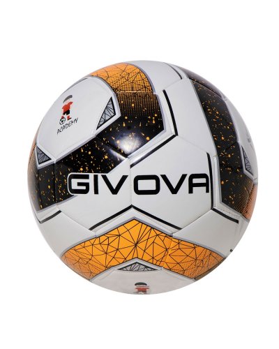 Pallone Academy School