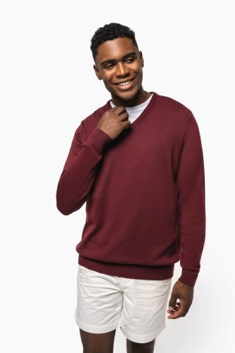 Pull col v homme