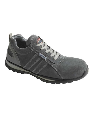Zapato toronto