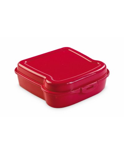 Sandwich Lunch Box Noix