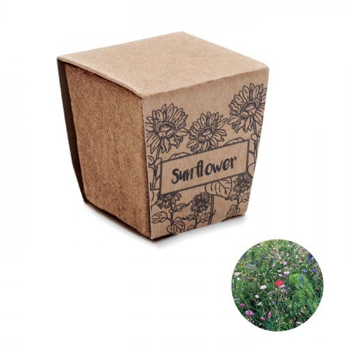 Vaso con semi di girasole Sunflower Kit