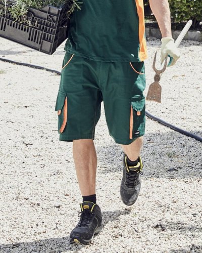 Workwear Bermudas - Color