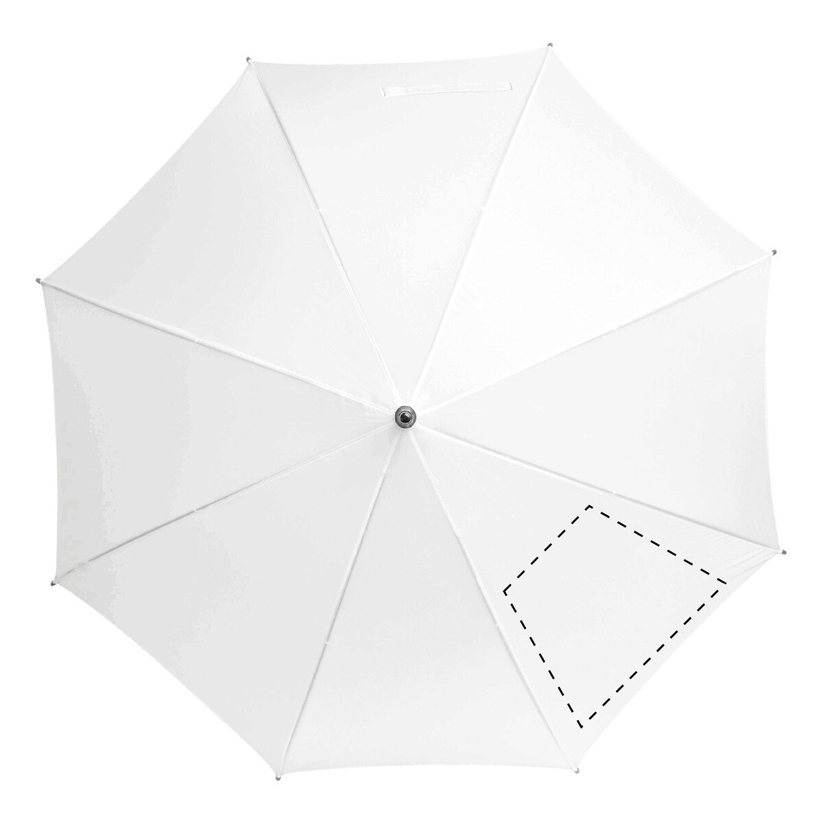 spicchio4: 100cm170 x 140 mm