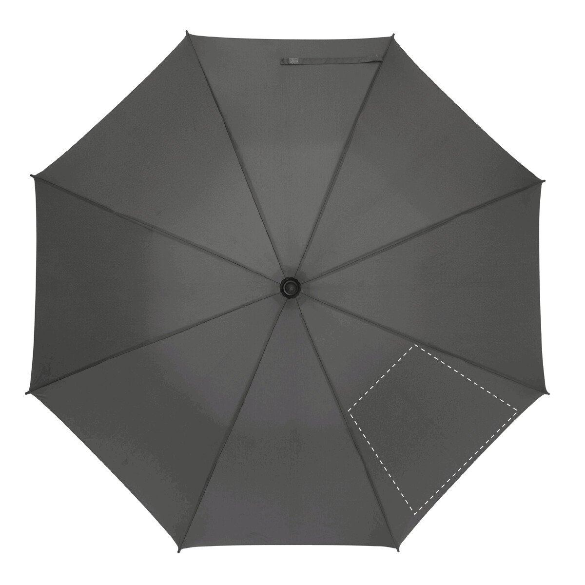 spicchio4: 300cm²