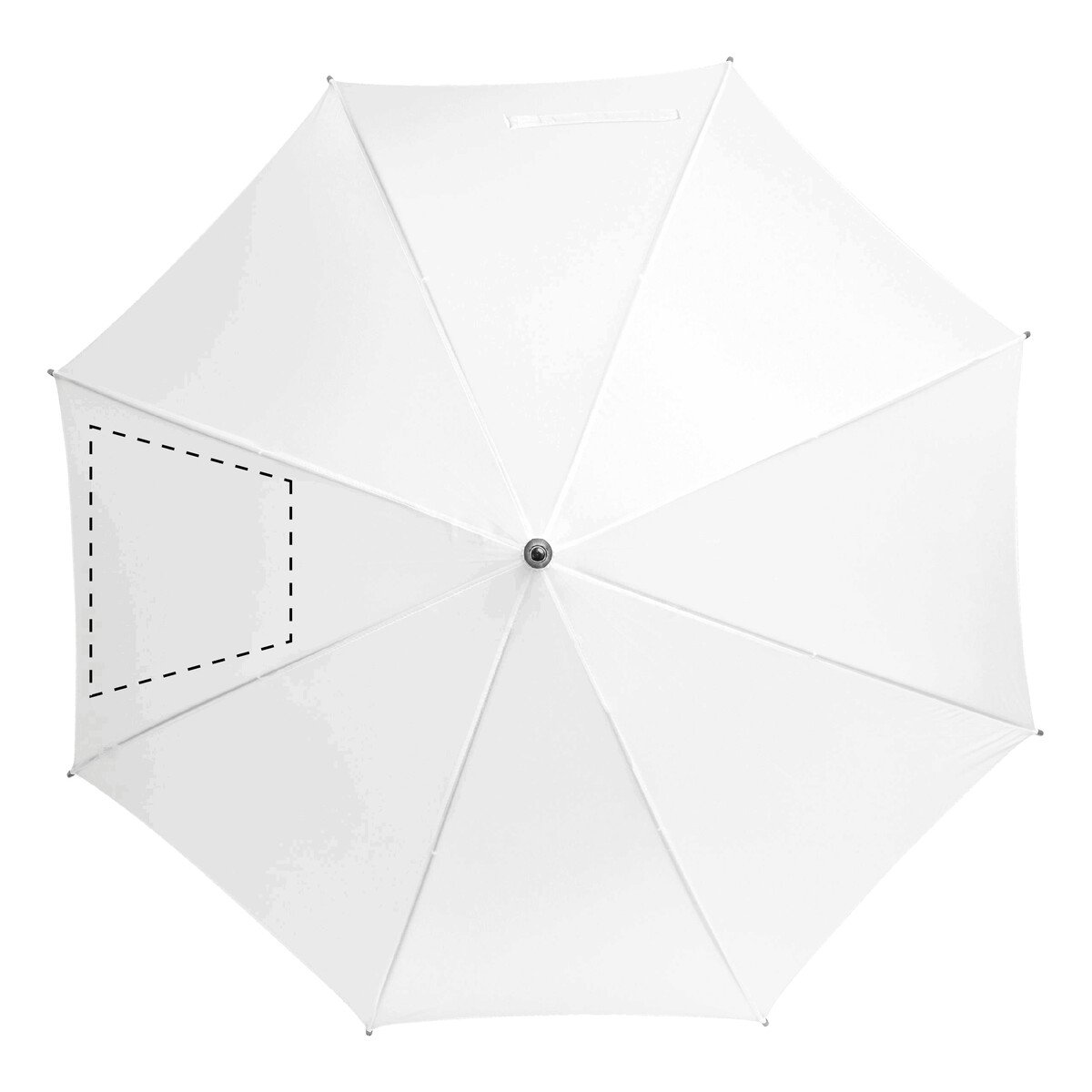 spicchio1: 170 x 140 mm