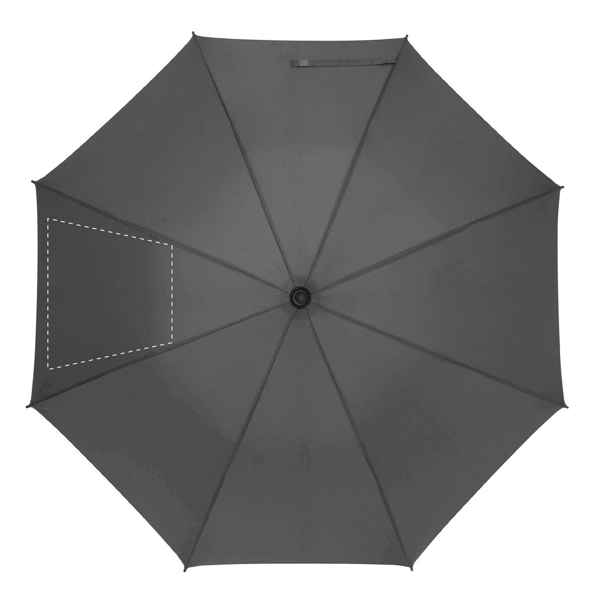 spicchio1: 50cm²