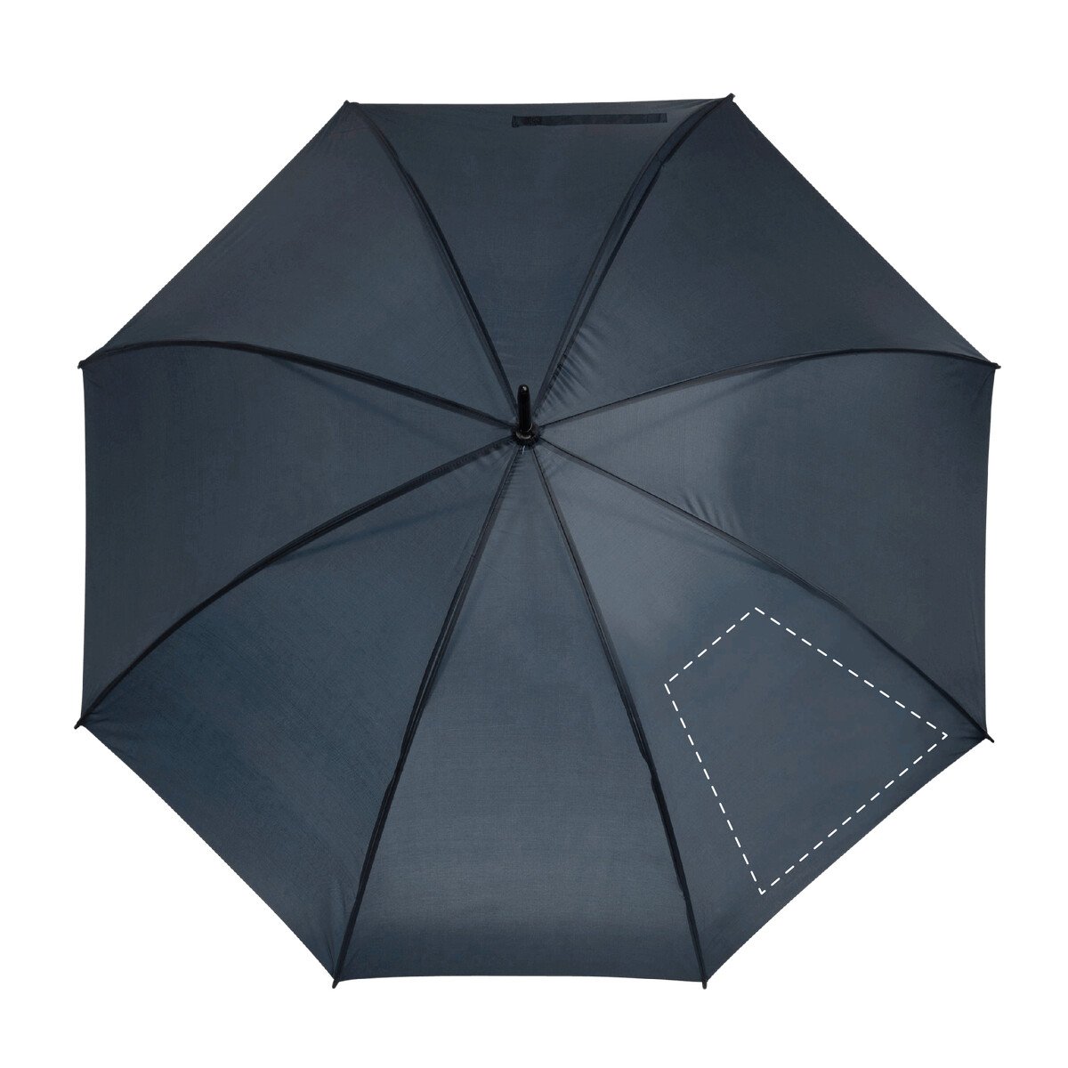 spicchio1: 160 x 300 mm