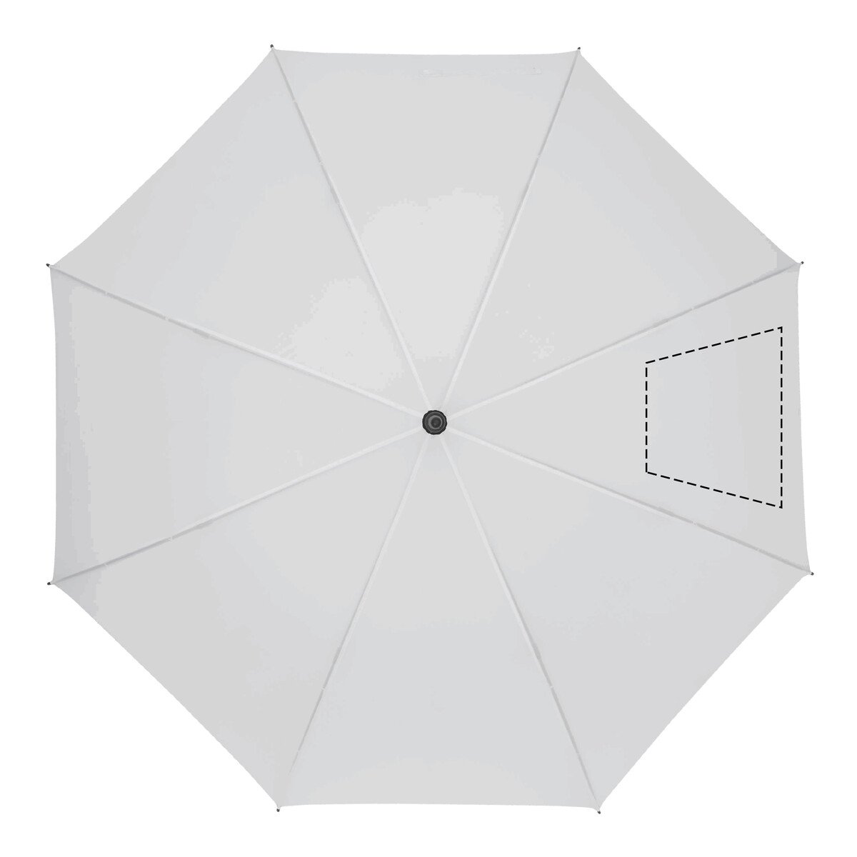 spicchio1: 50cm²