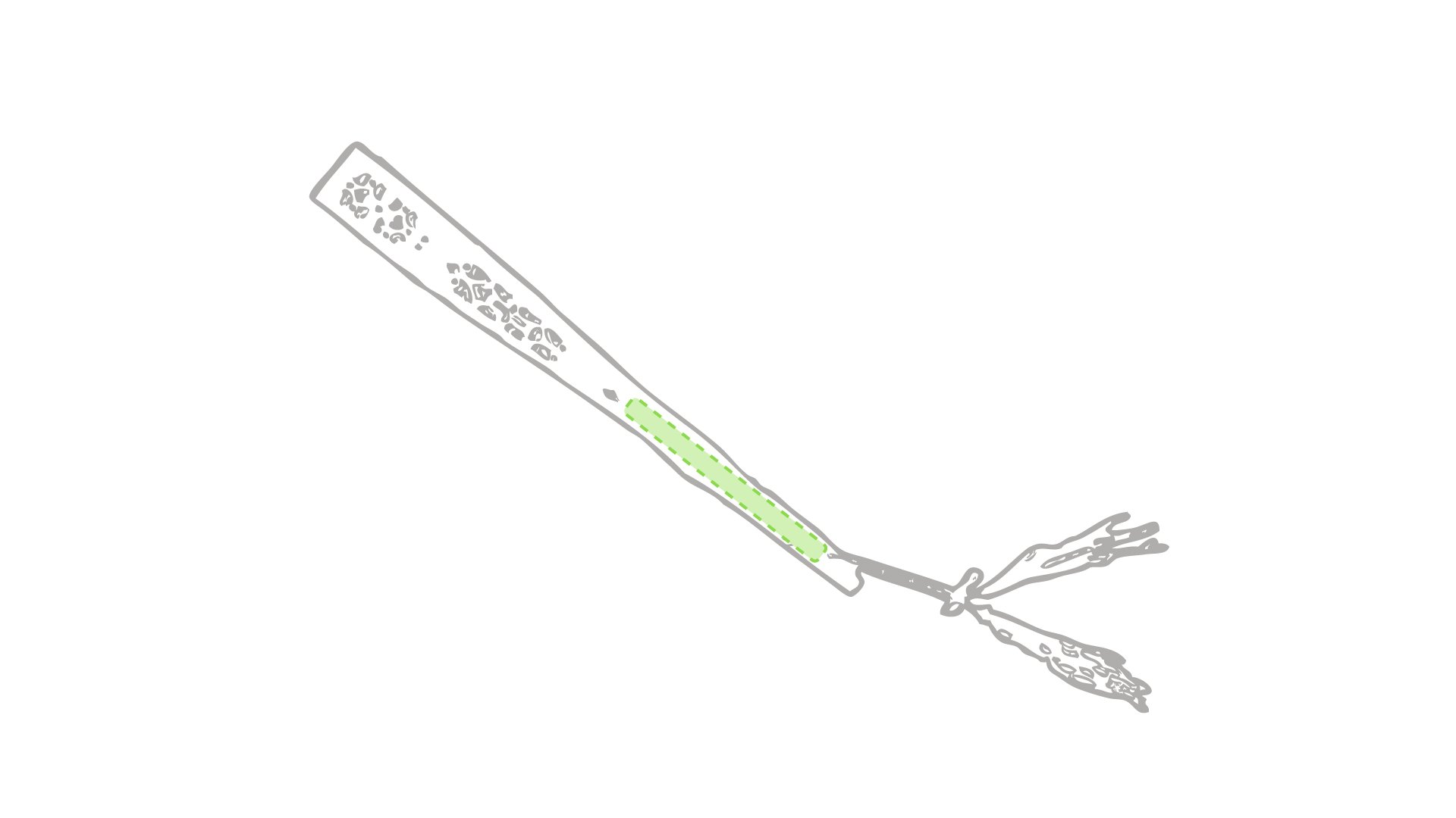 Bacchetta: h:0.4 w:4