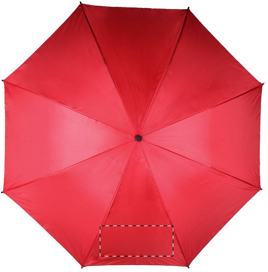 Fronte: 220 x 110 mm