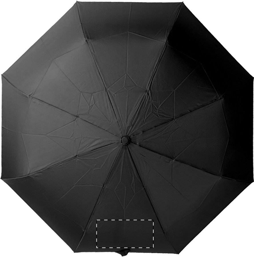 Fronte: 220mm x 110mm