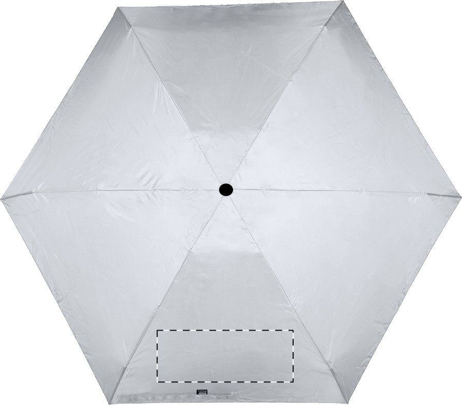 Spicchio 1: W:220 mm x H:110 mm x D:0 mm
